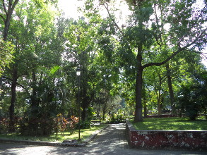 El rol de los principios en la actividad pol&iacute;tica