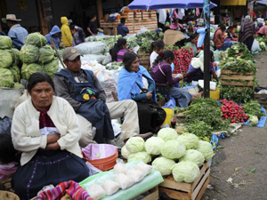 Alarmante par&aacute;lisis econ&oacute;mica