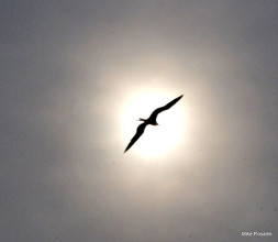 M&eacute;xico, presente sombr&iacute;o, futuro incierto 