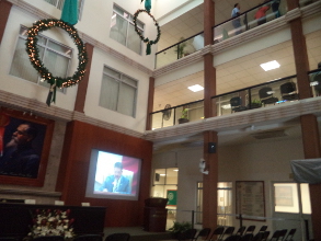 La salud p&uacute;blica y los diputados