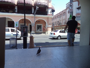 El derecho a la educaci&oacute;n