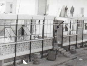 &ldquo;Zorrazo&rdquo; dej&oacute; 36 cuerpos despedazados a balazos