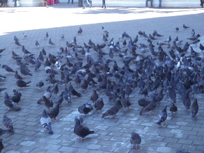 Futurismo binacional