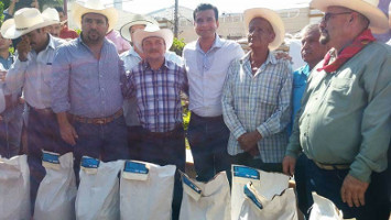 Orden en el transporte urbano y el campo&hellip;