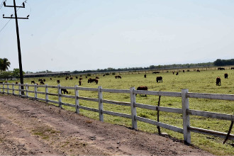 "El Sue&ntilde;o", rancho de Roberto Sandoval, incautado por Fiscal&iacute;a