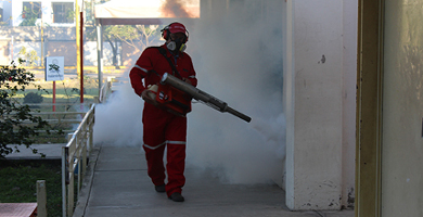 En Nayarit el presente a&ntilde;o pueden ocurrir graves casos de dengue