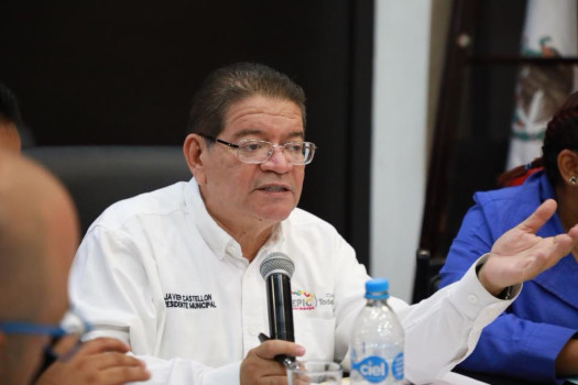 Criticar no es hacer le&ntilde;a del &aacute;rbol ca&iacute;do