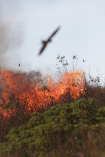 Premia Congreso a ganador del segundo concurso de fotograf&iacute;a