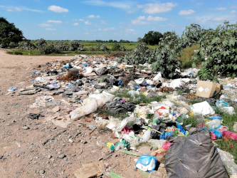 Llamado del Congreso al Ayuntamiento de Santiago a mejorar servicio de limpia