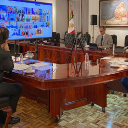 La crisis covid 19 y los intereses de los capitales transnacionales