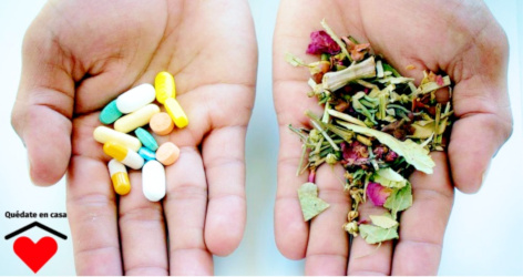 La alopat&iacute;a vs la herbolaria mexicana