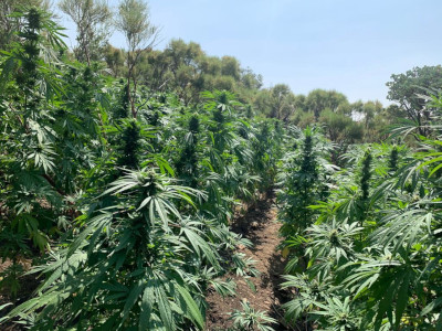 La Madre Naturaleza no se equivoca nunca