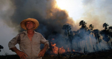 Por donde pasa el humano, la hierba ya no crece