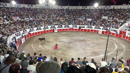 Ojal&aacute; y se erradiquen para siempre las corridas de toros